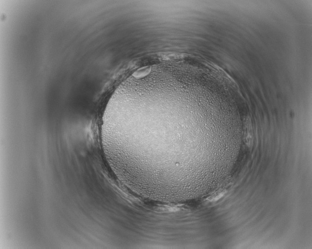 X0000060760523200511141234