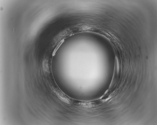 X0000060760524200511141234