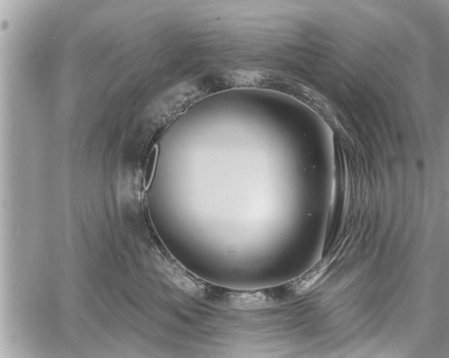 X0000060760525200511141234