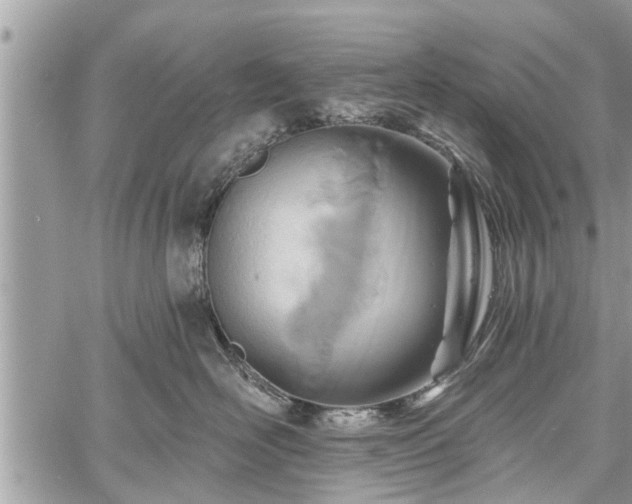 X0000060760526200511141234