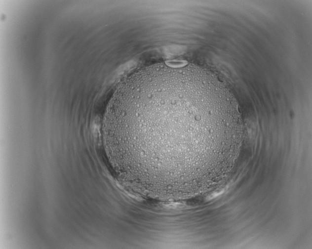 X0000060760527200511141234