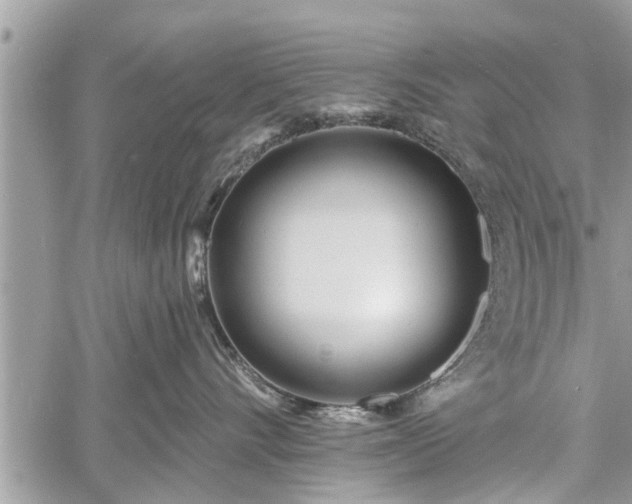 X0000060760528200511141234