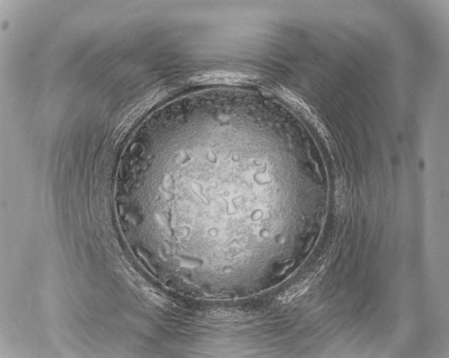 X0000060760529200511141233