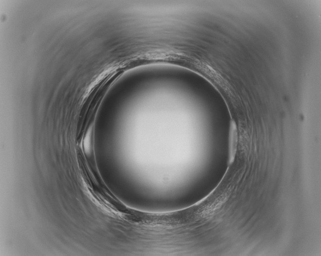 X0000060760530200511141233