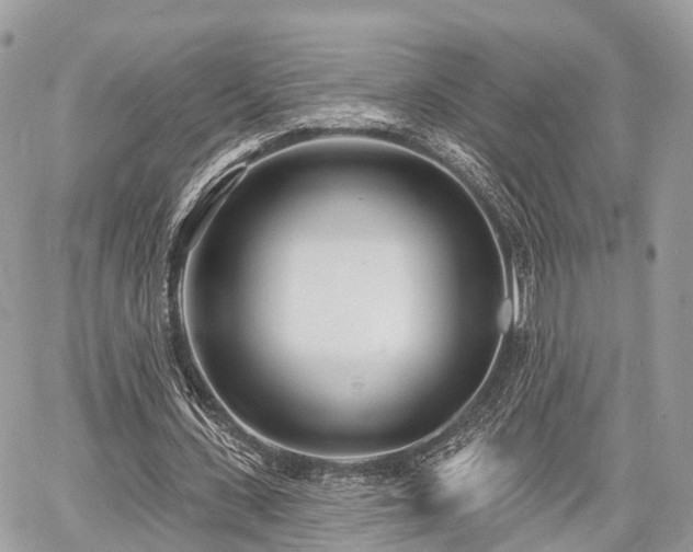 X0000060760531200511141233