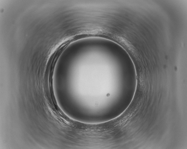 X0000060760532200511141233