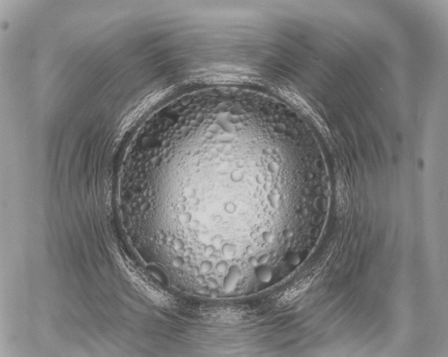 X0000060760533200511141233