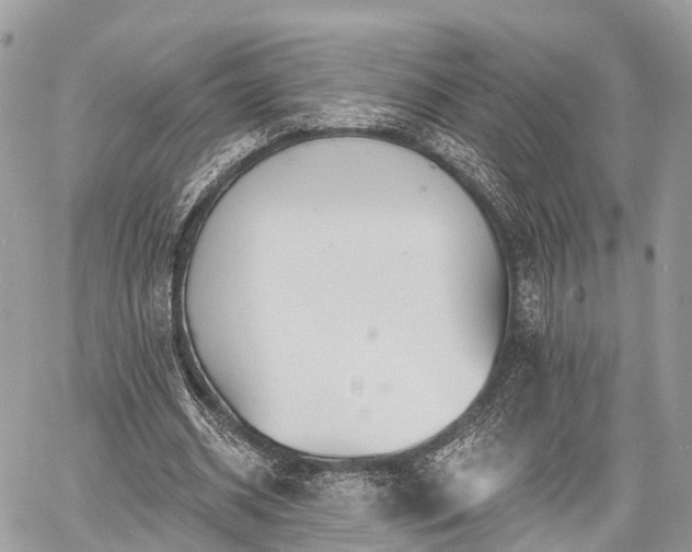 X0000060760534200511141233