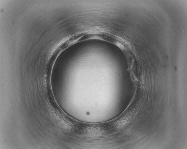 X0000060760535200511141233