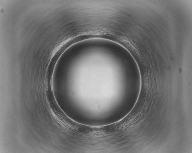 X0000060760536200511141234