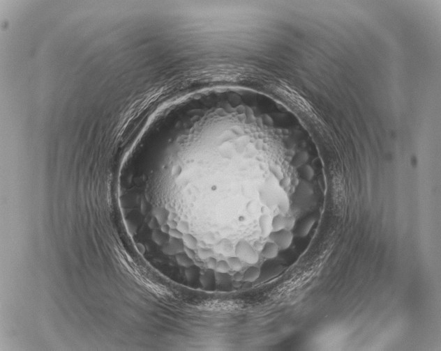 X0000060760537200511141234