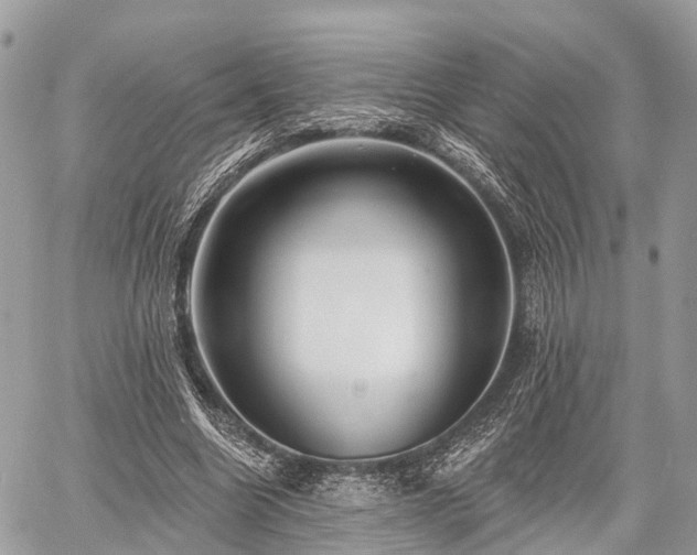 X0000060760538200511141234