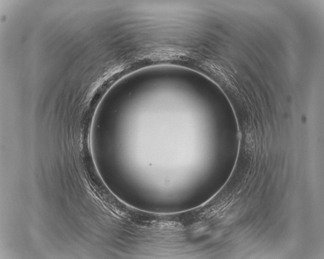 X0000060760539200511141234