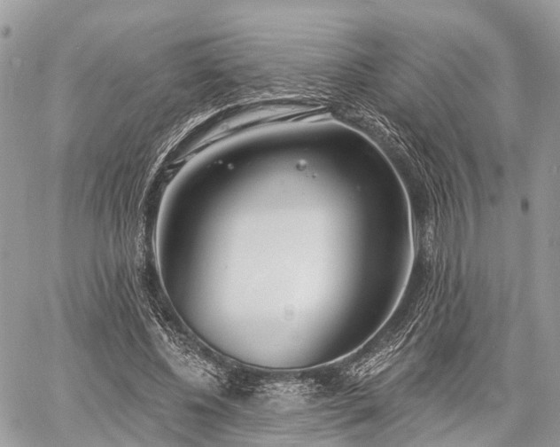 X0000060760540200511141234