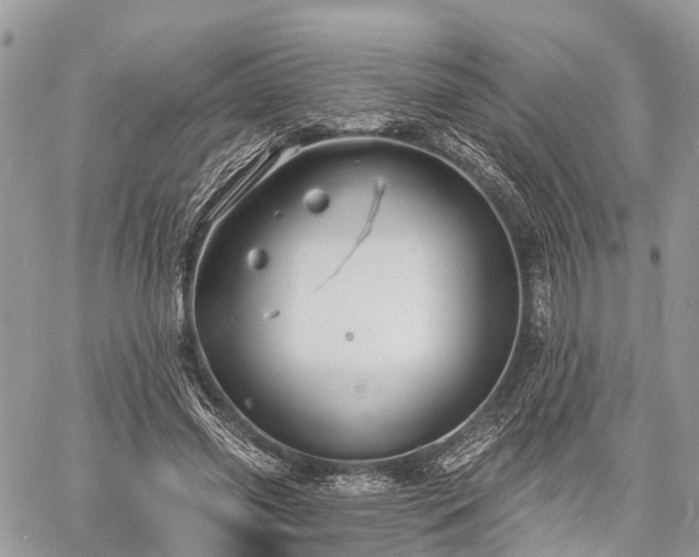 X0000060760541200511141234