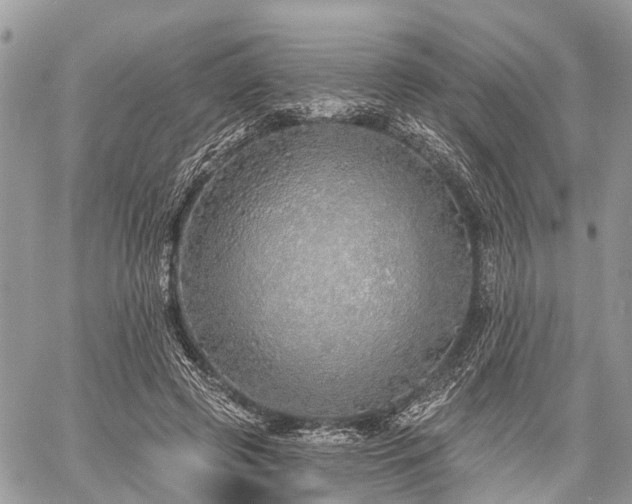 X0000060760545200511141234