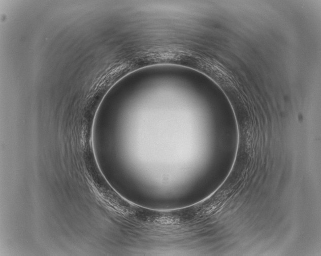 X0000060760546200511141234