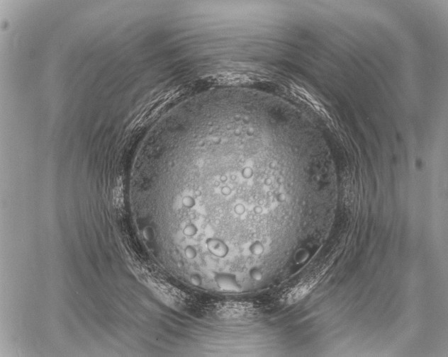 X0000060760549200511141234