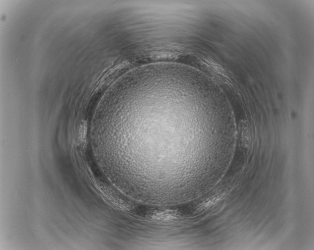 X0000060760550200511141234