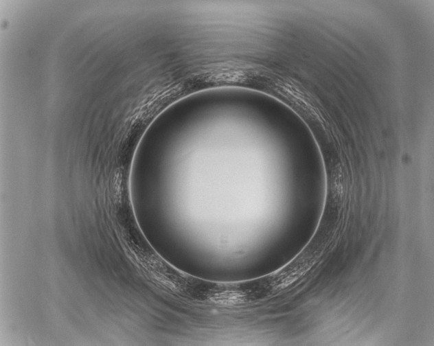 X0000060760551200511141234