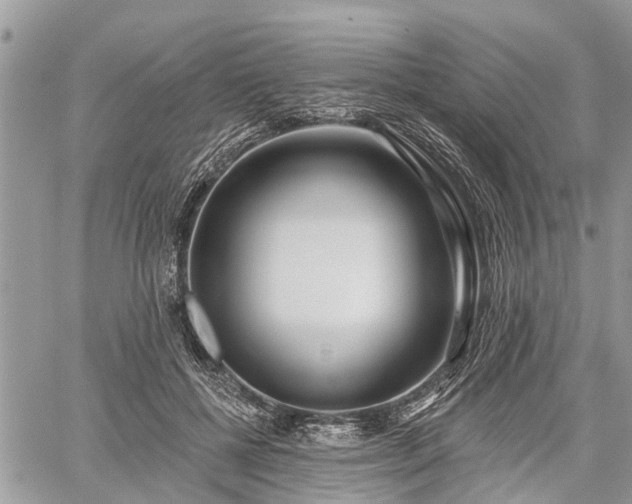 X0000060760552200511141234