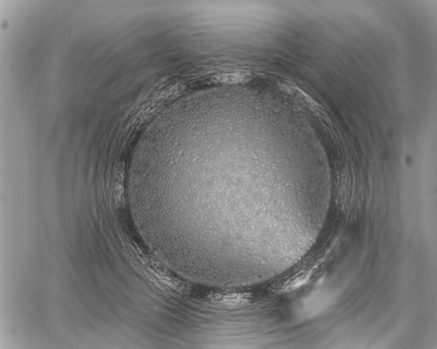 X0000060760553200511141234