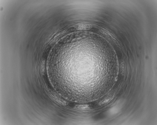 X0000060760554200511141234