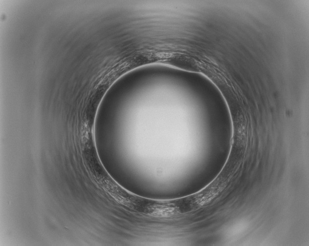 X0000060760555200511141234