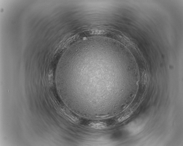 X0000060760557200511141234