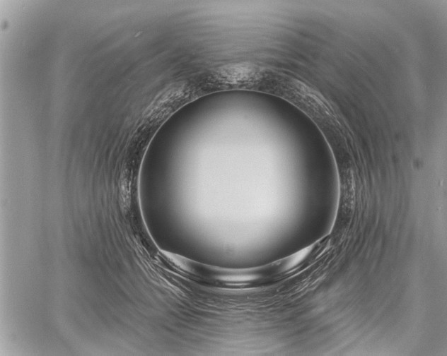 X0000060760558200511141234