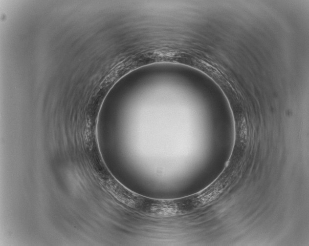 X0000060760559200511141234