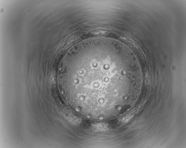 X0000060760561200511141234