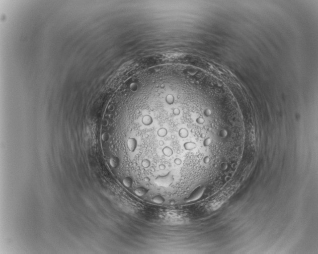 X0000060760565200511141234