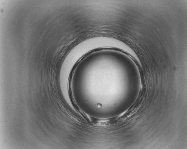 X0000060760566200511141234