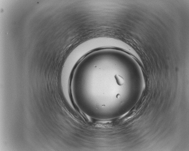 X0000060760568200511141234