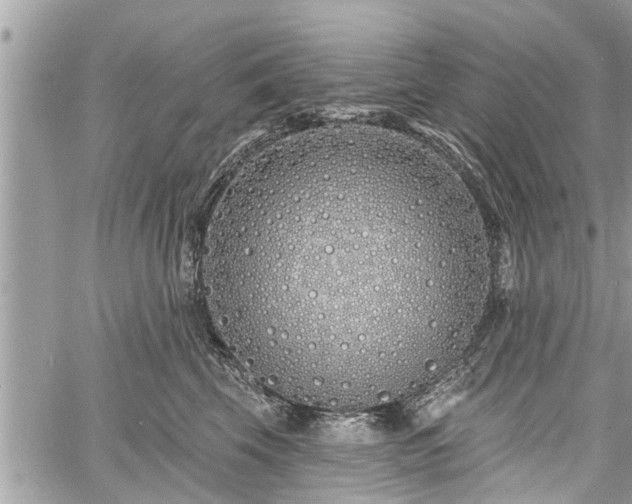 X0000060760569200511141234