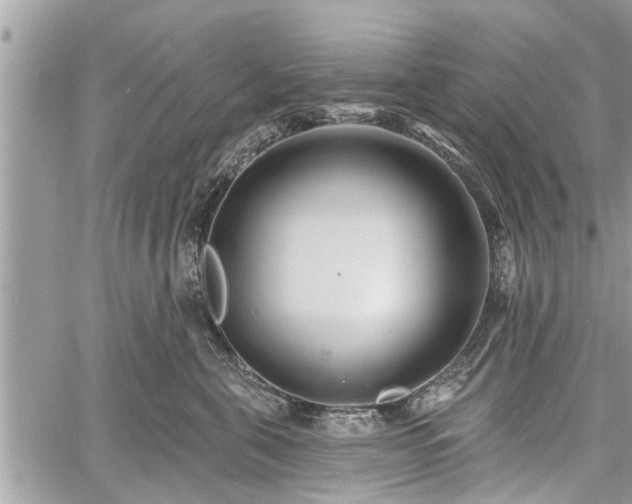 X0000060760571200511141234