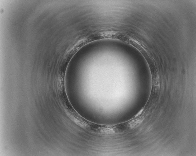 X0000060760572200511141234