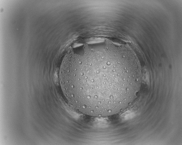 X0000060760573200511141234