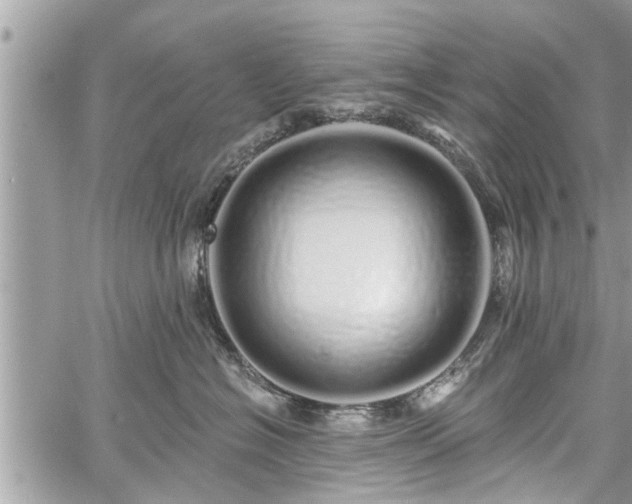 X0000060760574200511141234