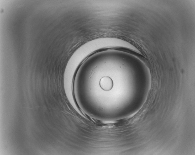 X0000060760576200511141234