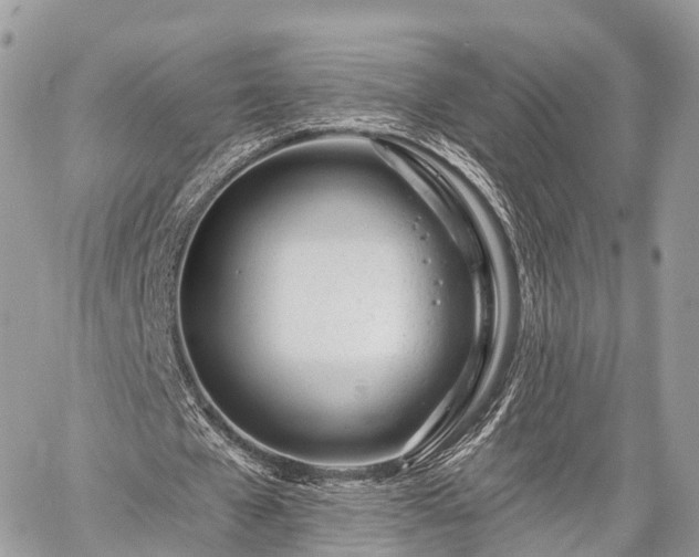 X0000060760577200511141233