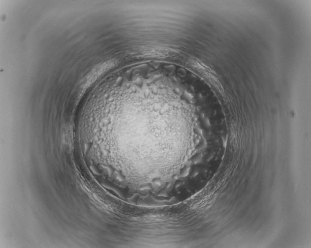 X0000060760578200511141233