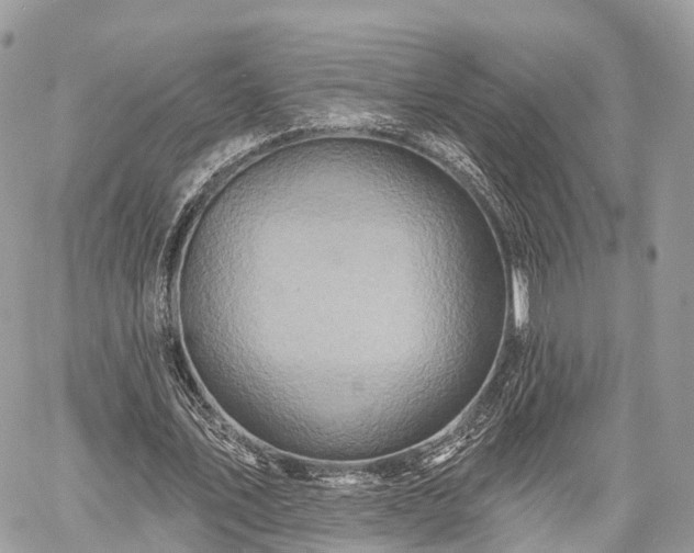 X0000060760579200511141233