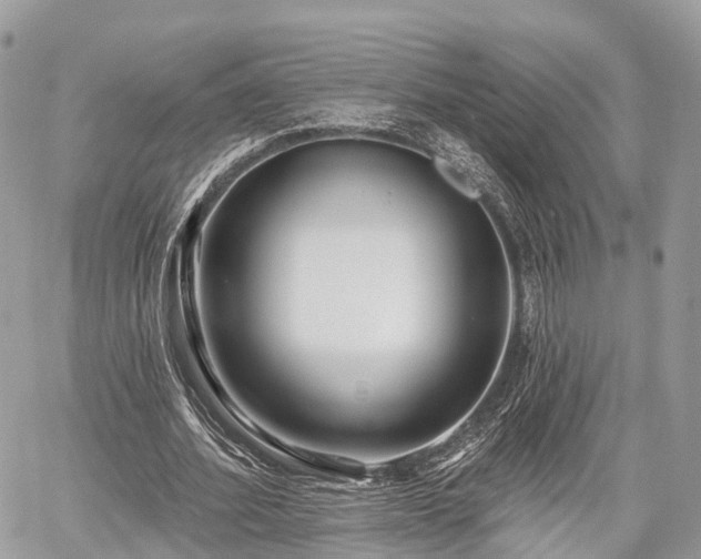 X0000060760580200511141233