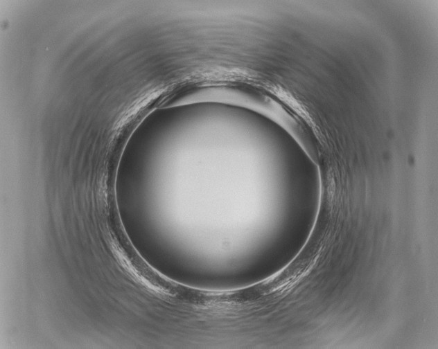 X0000060760581200511141233