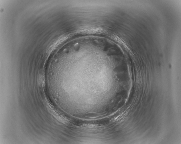 X0000060760582200511141233