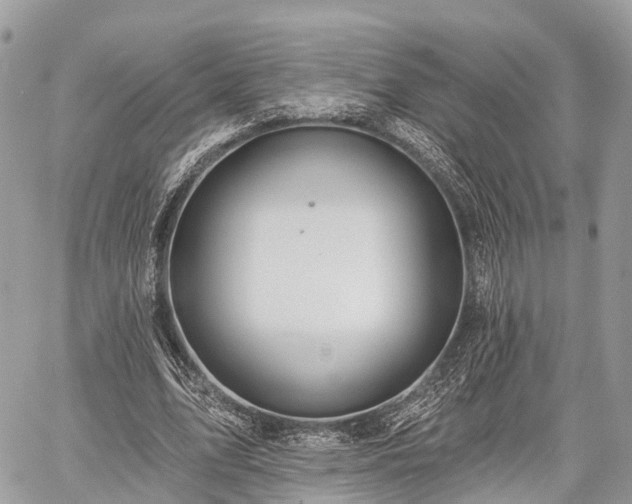 X0000060760583200511141233