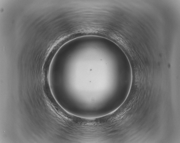 X0000060760584200511141233