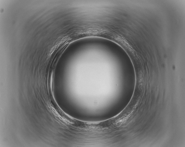 X0000060760585200511141233